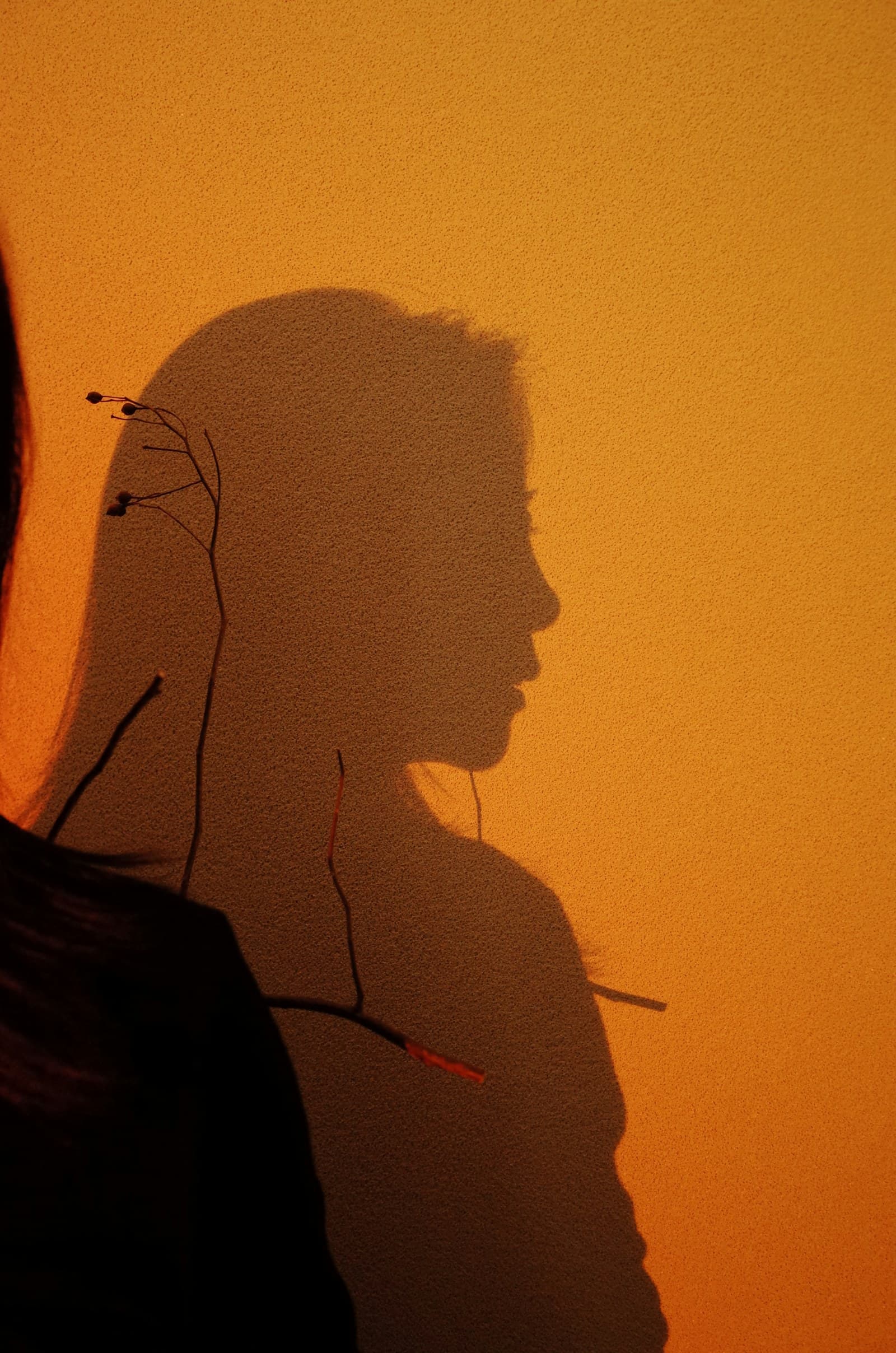 Warm orange-toned placeholder portrait showing a profile shadow against a wall